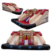 inflatable bouncy castle with water slide